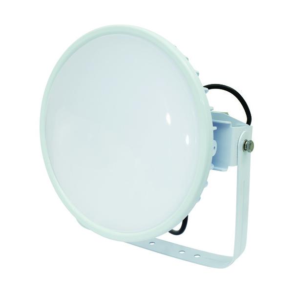 H NICHIDO nCXybNnCfBXN300W dǔ^ F A[^ Ch L300V2-D-HMW-50K-N Ԍ |Cg10{