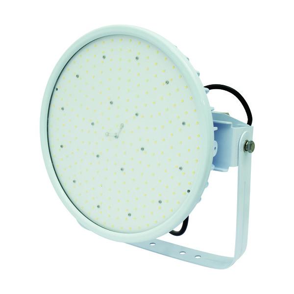 H NICHIDO nCfBXN300W dǔ^ F ^ Ch L300V2-D-HW-50K Ԍ |Cg10{