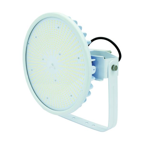 H NICHIDO nCXybNnCfBXN300W dǔ^ F A[^ Ch L300V2-D-HW-50K-N Ԍ |Cg10{