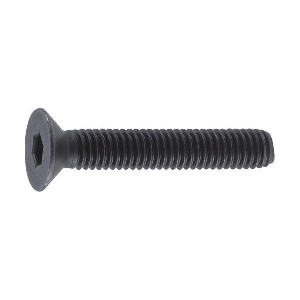 gXRR TRUSCO ZptM{g  SlW M4×20 55{ B73-0420 Ԍ |Cg10{