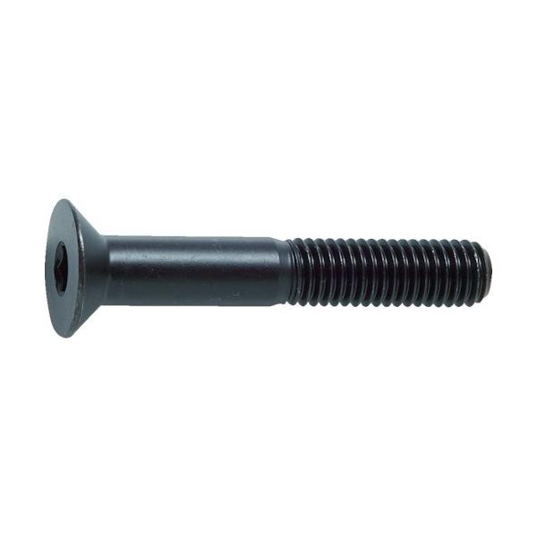 gXRR TRUSCO ZptM{g  lW M10×50 12{ B73-1050 Ԍ |Cg10{