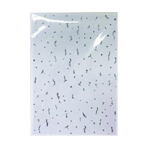 aCY WAKI VV[ Wvg[pA4 OP5000 Ԍ |Cg10{