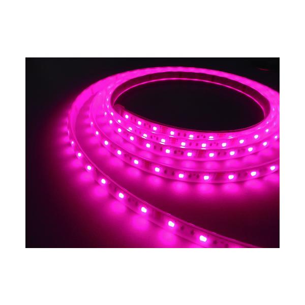 gCg tlight LEDe[vCg Viewdi}` DC12V 16.6mmP 3m DMXZbg TLVDM3-16.6P-3-C Ԍ |Cg10{