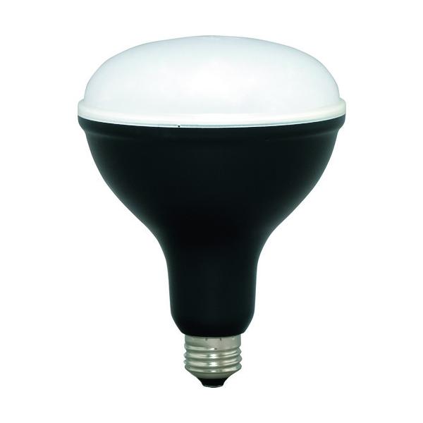 ACXI[} IRIS 522204 PROLEDS LEDdp1800lm LDR16D-H Ԍ |Cg10{