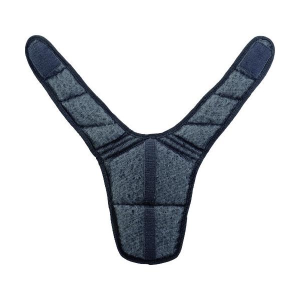 TJMfUC ^W} t@xXg Ci[pbh FVP-AAPG Ԍ |Cg10{