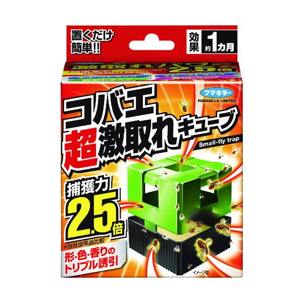 t}L[ RoGL[u 1 445039 Ԍ |Cg10{