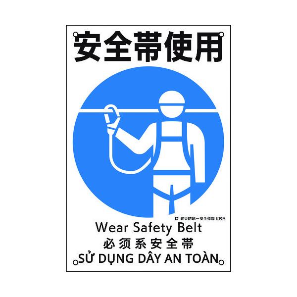 Ώ\ ЖhSW Sюgp KS5 450×300mm |vs 081005 Ԍ |Cg10{