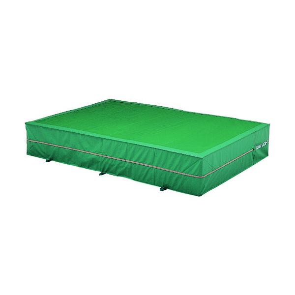 �g�[�G�C���C�g �����O���p�G�o�[�}�b�g �㕔���b�V�� 200×300×50cm G1553 ���Ԍ��� �|�C���g10�{