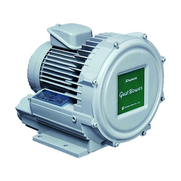 SDG ���a �d�������@ �Q���������V���[�Y �K�X�g�u���A�V���[�Y 0.3kW U2V-30S ���Ԍ��� �|�C���g10�{