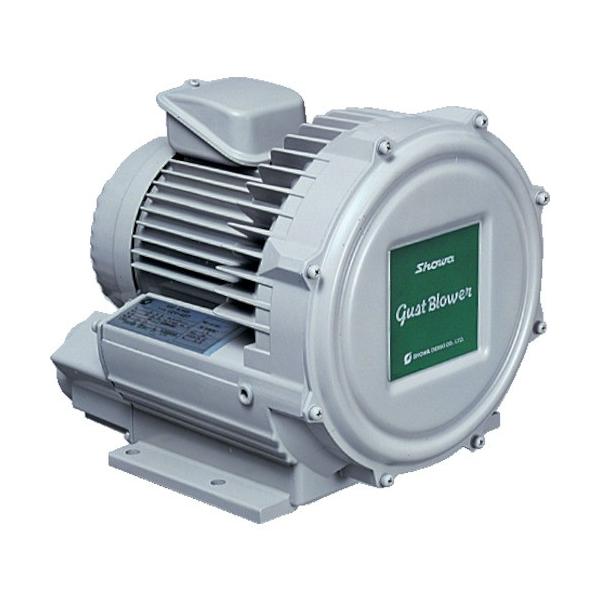 SDG a d@ QV[Y KXguAV[Y 2.2kW U2V-220 Ԍ |Cg10{