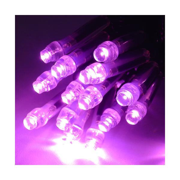 �g���C�g tlight LED�C���~�l�[�V���� �T�N���s���N �g�U�^ CSBSP1-100-100P/2 ���Ԍ��� �|�C���g10�{
