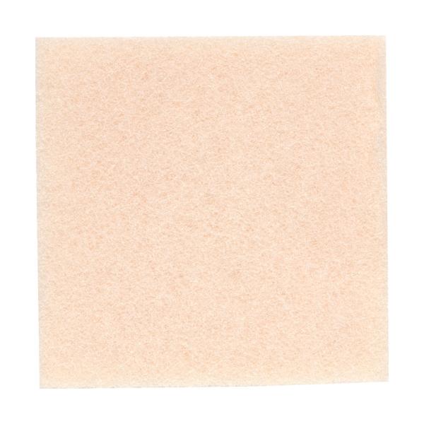 Rgq z@EWo@pvtB^[ 5 yPʂ͑gz KSC-PF05 Ԍ |Cg10{