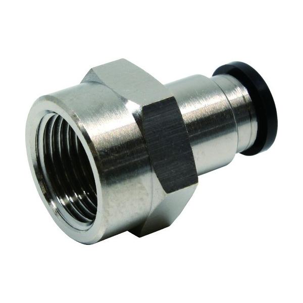 {sXR PISCO `[utBbeBO XXg[g`[u8lW03 PCF8-03 Ԍ |Cg10{