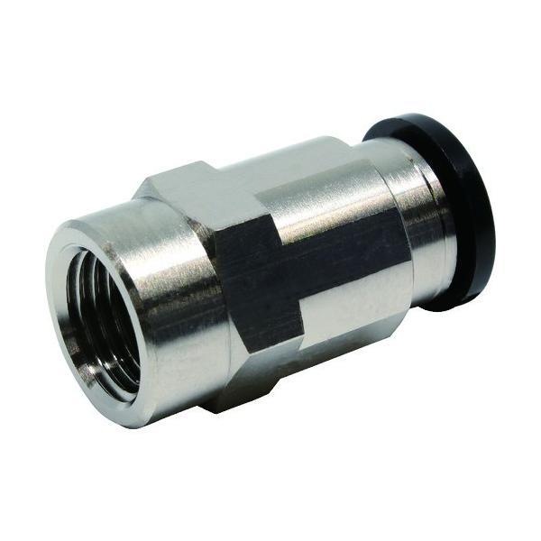 {sXR PISCO `[utBbeBO XXg[g`[u10lW02 PCF10-02 Ԍ |Cg10{