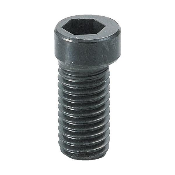 C}I JXN[ M6 MBCS06 Ԍ |Cg10{