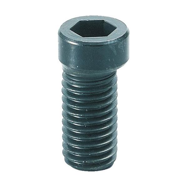 C}I JXN[ M10 MBCS10 Ԍ |Cg10{