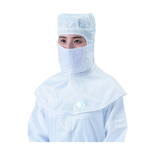 uXg BLASTON }XN  t[ 1Pk  =10 BSC-30001-W-F Ԍ |Cg10{