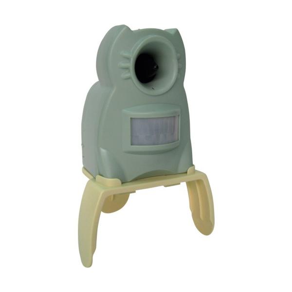 ^JCN ϓglRQy K[foA ~j^Cv GDX-M Ԍ |Cg10{