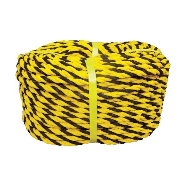 ^JCN [v W[v 9×100m Y9-100 Ԍ |Cg10{