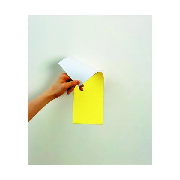 }OGbNX }OlbgʃJ[V[g MSR-10YW Ԍ |Cg10{