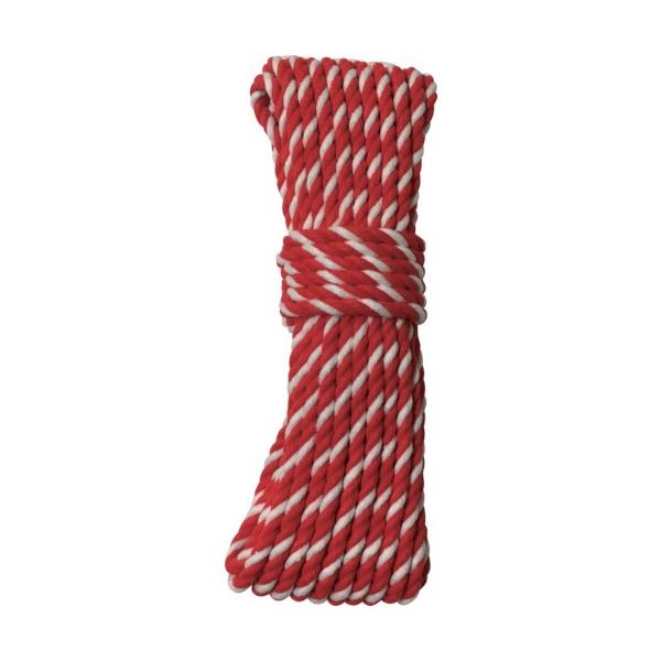 ^JCN [v AN[v 6×10m REnN A-86 Ԍ |Cg10{