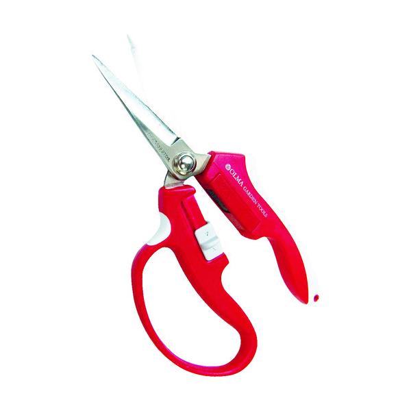 TV musashi  Ă nT~ I} }Olbg ،^  MG-2R Ԍ |Cg10{