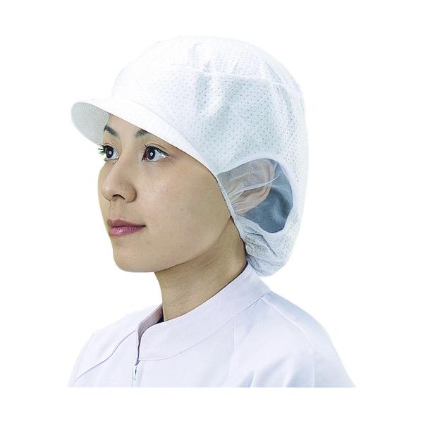 �F�s�{���� �V���K�[ �V���K�[�d�ΖXSR-5 L 20���� SR-5L ���Ԍ��� �|�C���g10�{