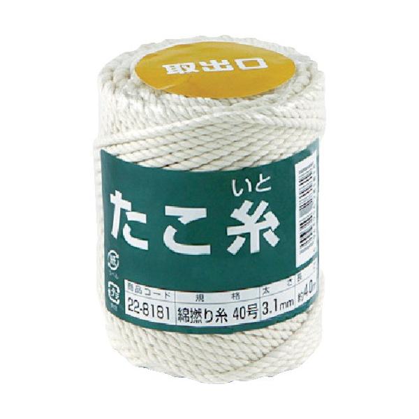   ȔQ莅 #40 22-8181 Ԍ |Cg10{