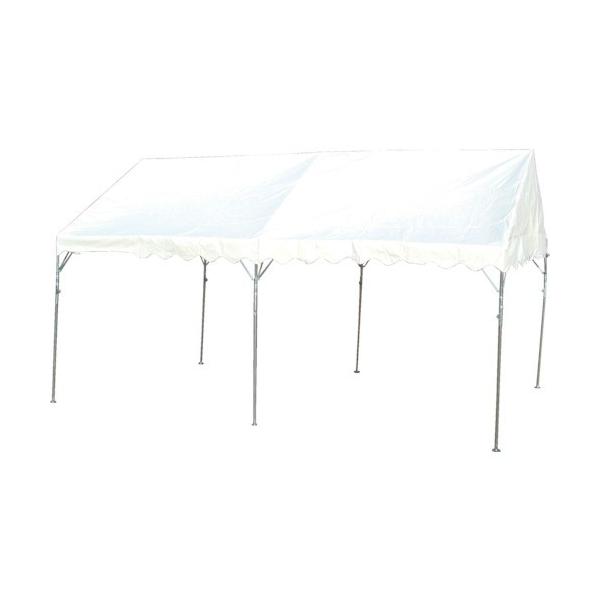  Wpeg 2X3 Sg  NHTS-4 Ԍ |Cg10{