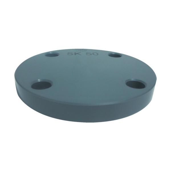 �ϐ����w�H�� �G�X���� �t�����WSB�^ 40 JIS5K PVC FSB405 ���Ԍ��� �|�C���g10�{