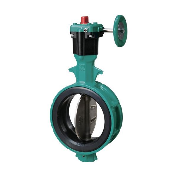 �b 700Z-2F JIS10K ADC12/SCS13/EPDM 250A 700Z-2F-250-S13-E ���Ԍ��� �|�C���g10�{