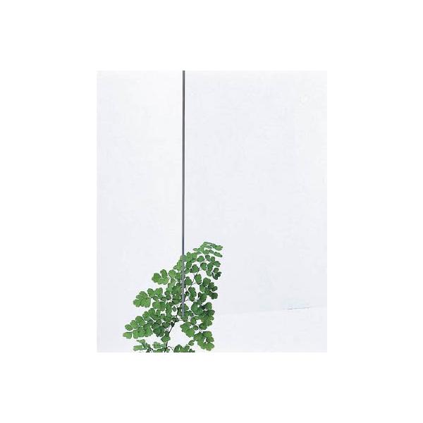 i@lj ANLXg  3×300×450mm AC00-334 Ԍ |Cg10{ 