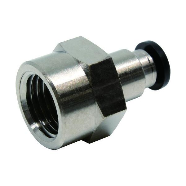 {sXR PISCO `[utBbeBO XXg[g`[u4lW02 PCF4-02 Ԍ |Cg10{