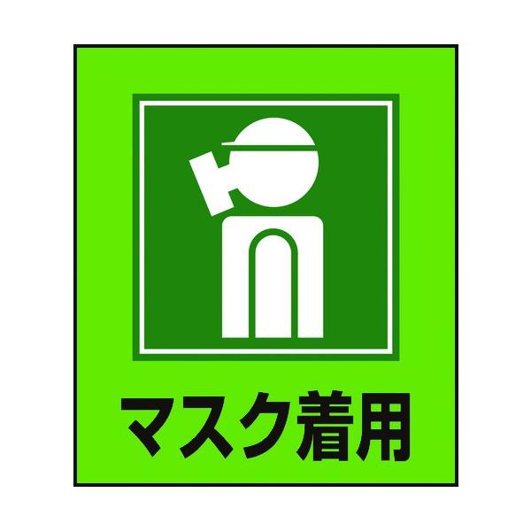 Ώ\ CXgXebJ[W }XNp GK-10 120×100mm 5g PET 099010 Ԍ |Cg10{