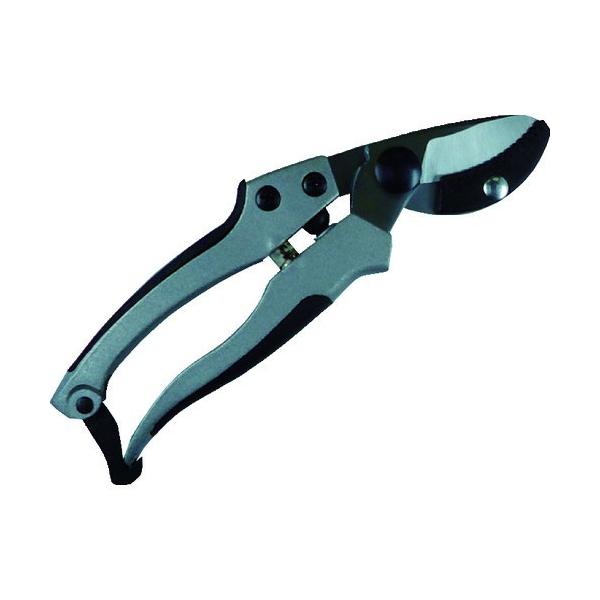 i EG A~_CLXg Ar^ 502136 Ԍ |Cg10{