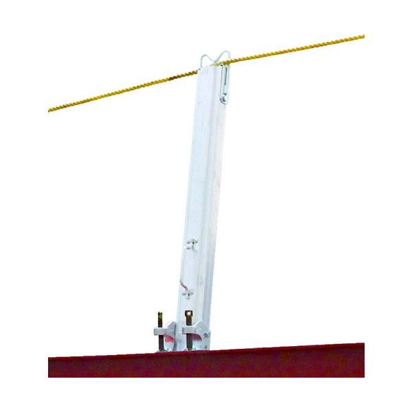 TR[ ^C^ Spejx LP^ LP Ԍ |Cg10{