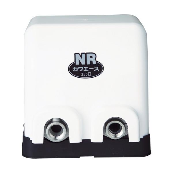 ��{ �J���G�[�X NR256S ���Ԍ��� �|�C���g10�{