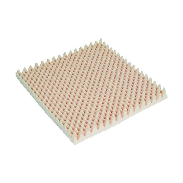 �g���X�R���R TRUSCO �g����H�E���^���X�|���W�V�[�g �ᔽ�� 40�� 500X500mm TWEGR-4050 ���Ԍ��� �|�C���g10�{