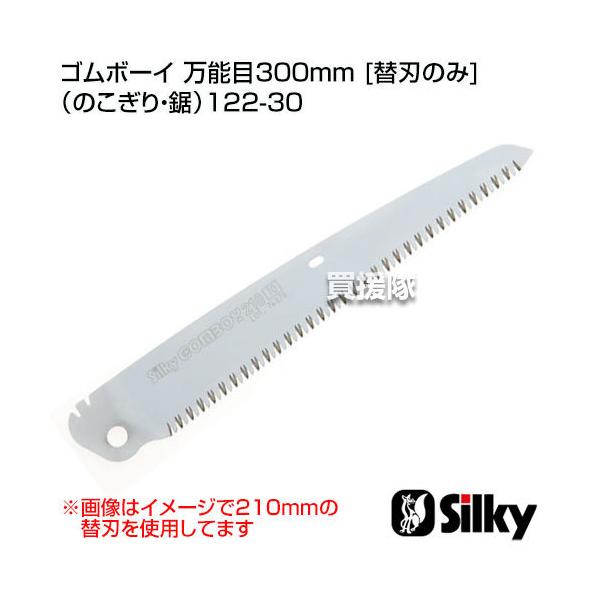 VL[ S{[C \300mm ֐n̂ ̂E