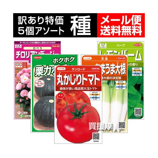 期限切れタネ 訳あり 野菜の種 花の種 ハーブの種 から選択 5袋セット メール便 5袋セット Dejapan Bid And Buy Japan With 0 Commission