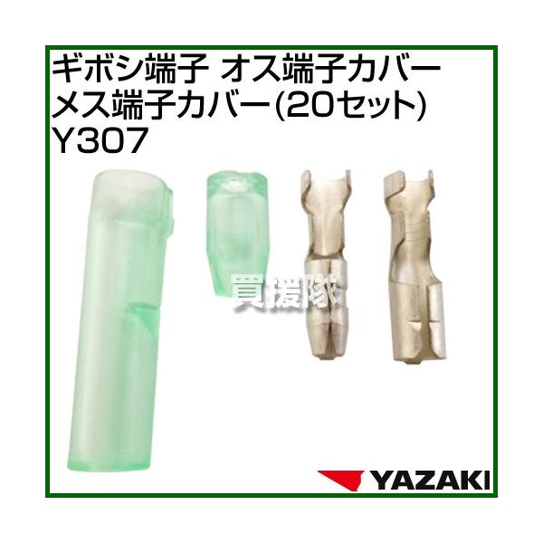 葍 M{V[q IX[qJo[X[qJo[ 20Zbg Y307