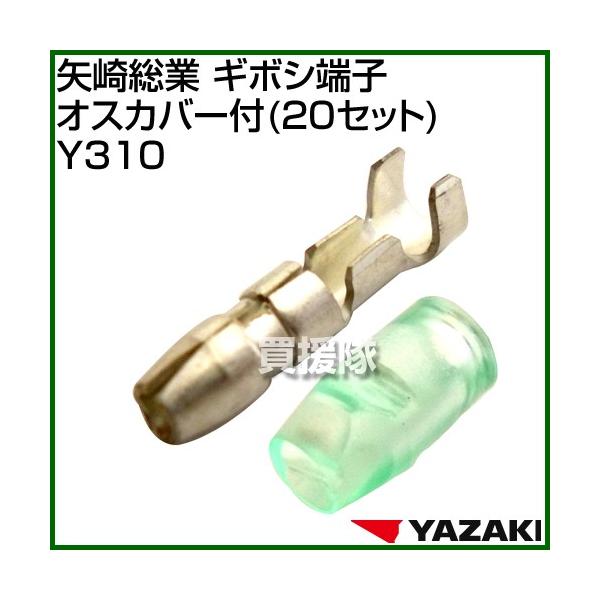 葍 M{V[qIXJo[t 20Zbg Y310