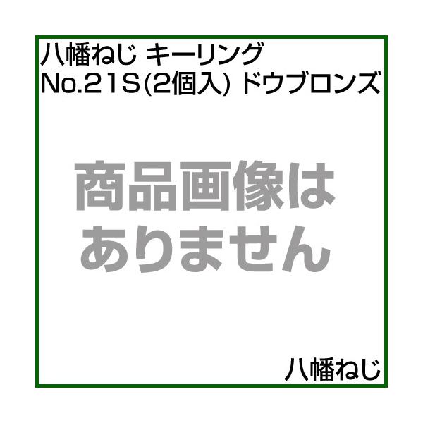 iP8{jiN[|4ōv4000~OFFj˂ L[O No.21S 2 hEuY