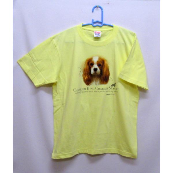 LoA tVc  Jbg\[ ێ^ N[lbN 100% Rbg gbvX  fB[X Y Vv 킢  Cxg  hbO