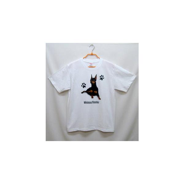 ~j`AsV[ tVc  Jbg\[ ێ^ N[lbN 100% Rbg gbvX  fB[X Y Vv 킢  Cxg 