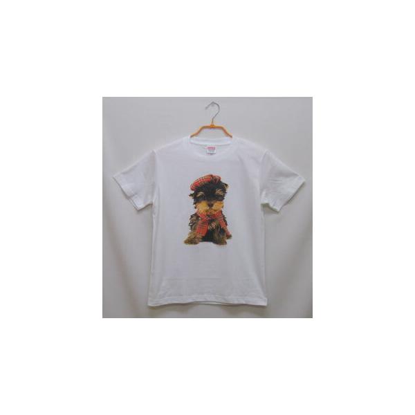 [NV[eA tVc  Jbg\[ ێ^ N[lbN 100% Rbg gbvX  fB[X Y Vv 킢  Cxg 