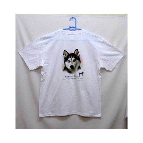 VxAnXL[ tVc  Jbg\[ ێ^ N[lbN 100% Rbg gbvX  fB[X Y Vv 킢  Cxg 