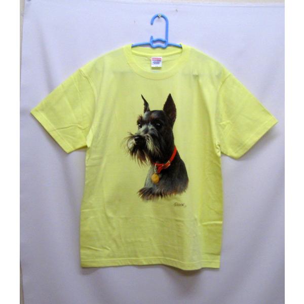 ViEU[ tVc  Jbg\[ ێ^ N[lbN 100% Rbg gbvX  fB[X Y Vv 킢  Cxg  