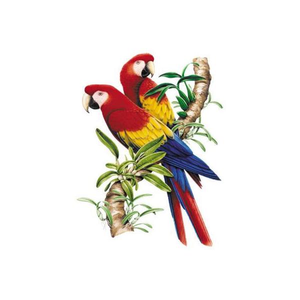 動物プリント半袖Tシャツ 選べるサイズ展開 男女兼用 ユニセックスオーソドックスなシルエット 厚手 【ラッピング無料】ギフトにも人気！プレゼント鳥 トリさん とり tシャツ 半袖 カットソー 丸首型 クルーネック 綿100% コットン トッ...