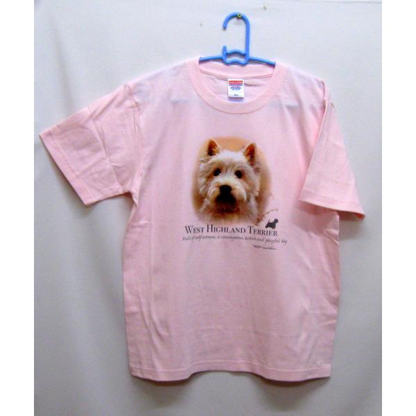 EGXeB[ (NEW) tVc  Jbg\[ ێ^ N[lbN 100% Rbg gbvX  fB[X Y Vv 킢  Cxg 